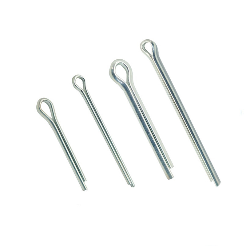 நீண்ட கால பிளவு முள்